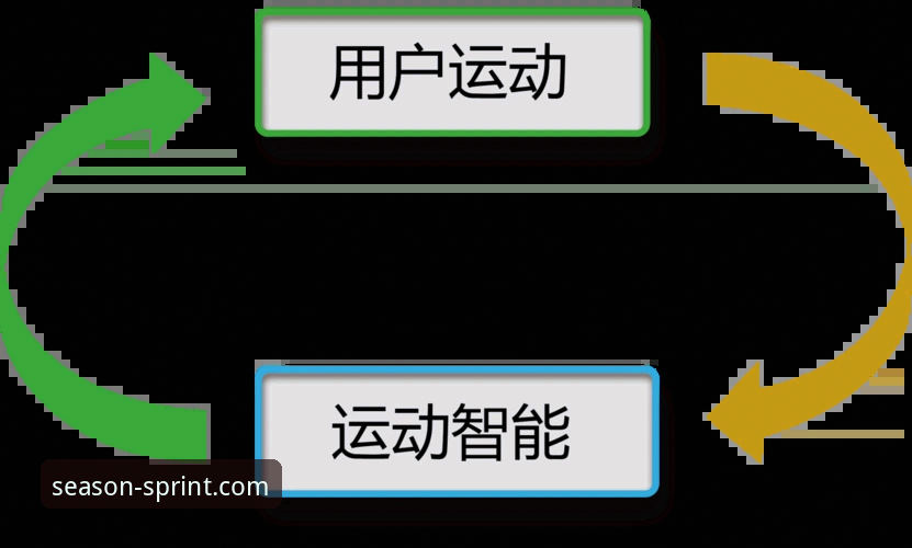 四季体育app最新版本 四季体育官网入口 vs 四季体育APP最新版本:用户体验与功能全面对比