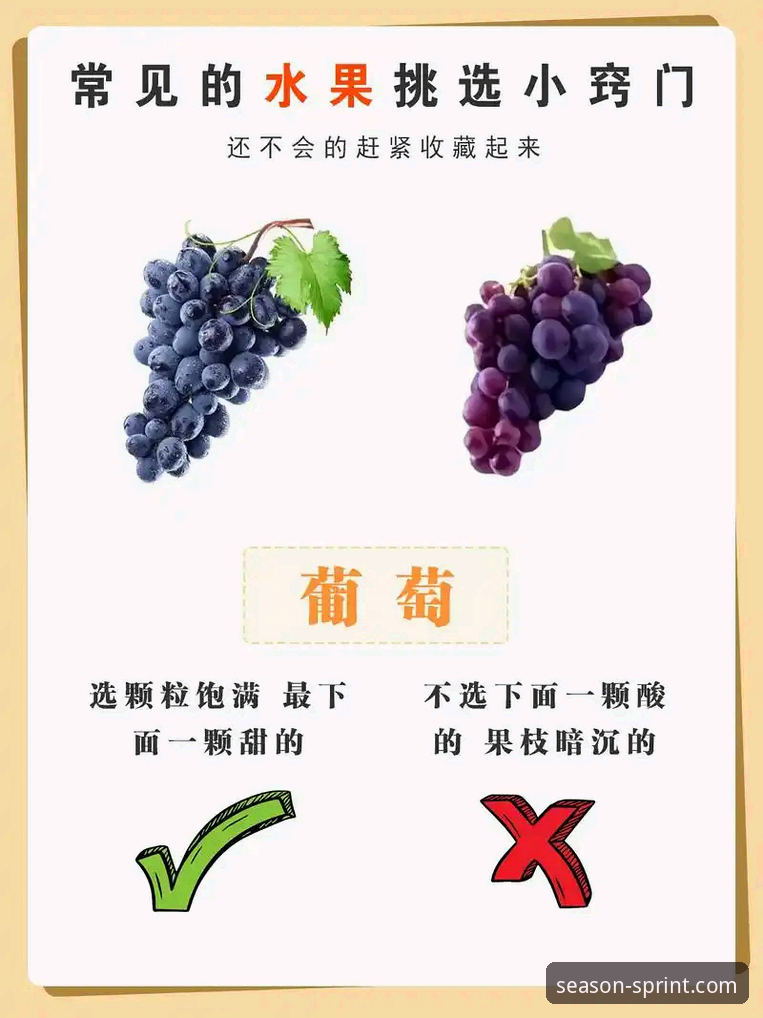 四季体育使用体验 新手必看:四季体育使用体验的实用技巧与必备知识